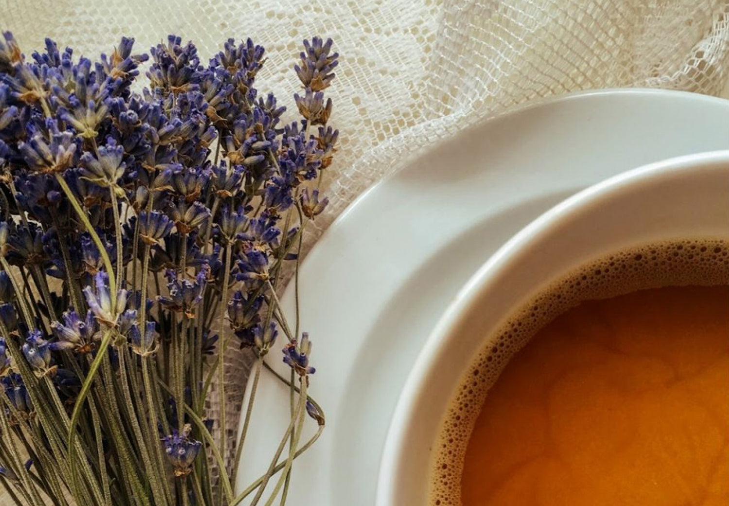 Step Aside Pumpkin Spice - Meet the Lavender Latte – Appalachian Botanical Co.