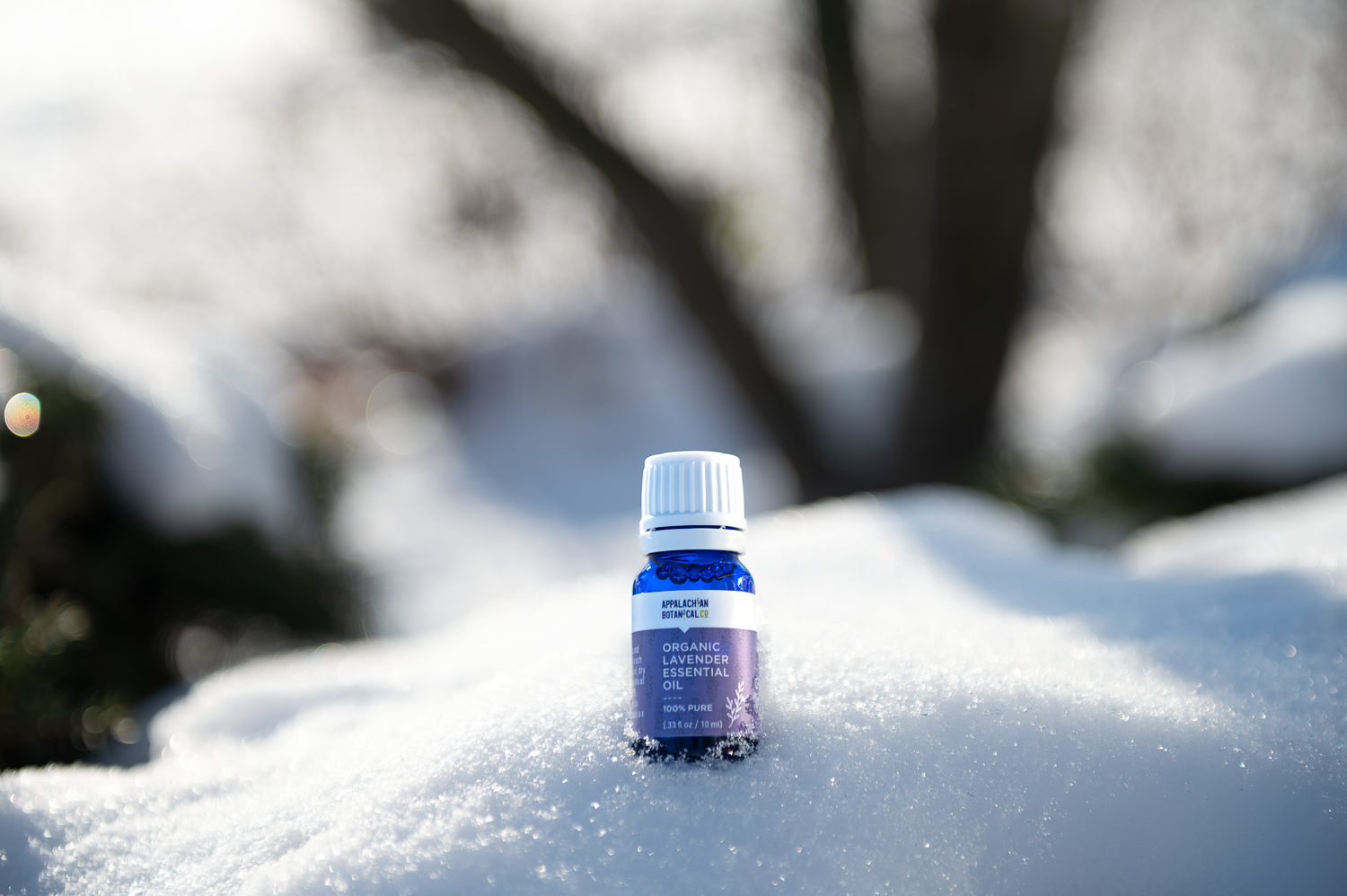 Pure Lavender Essential Oil | Steam Distilled, Locally Grown
