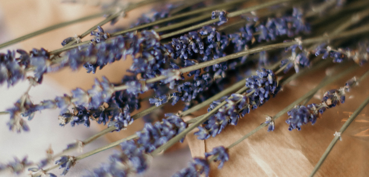 English and French Lavender Smudge Sticks: A Culturally Appropriate, Sustainable Alternative to Sage
