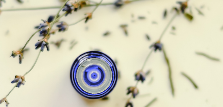 Appalachian Botanical Co's Lavender Essential Oil: The Complete Journey